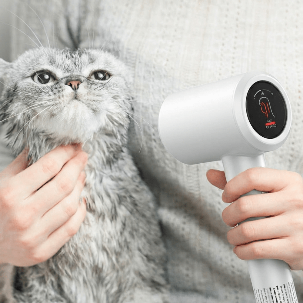 Frissigt hår och lång föning, snabb rutin med tyst hårtork. - Veluria